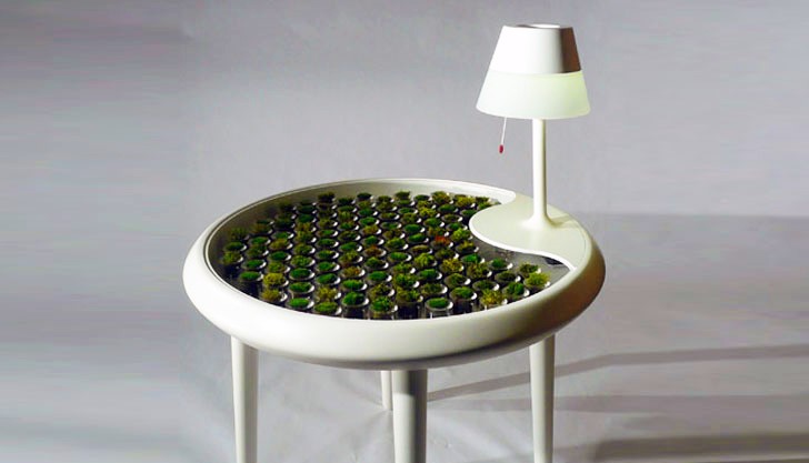 biophotovoltaic-moss-table2.jpg
