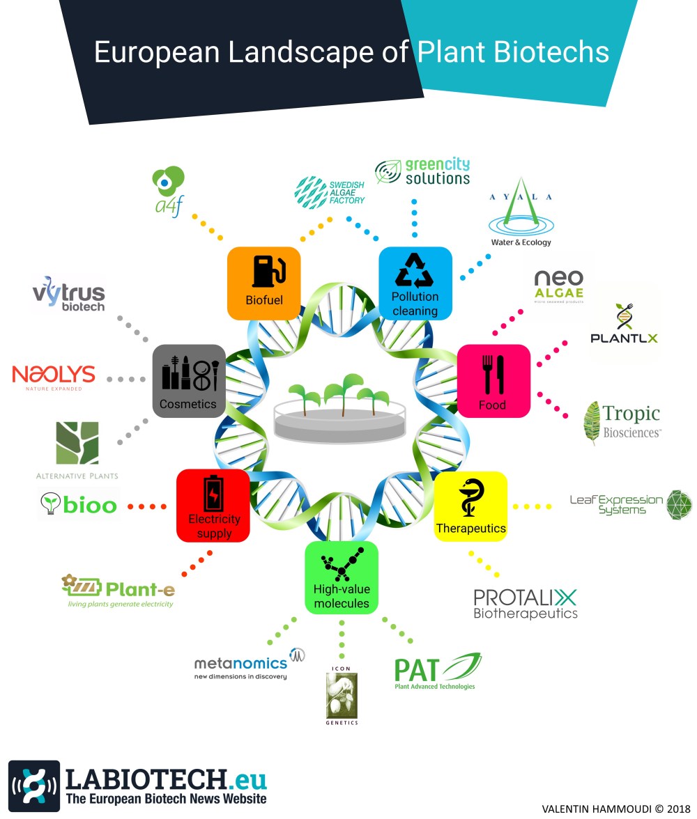 Infographic labiotech 2.8